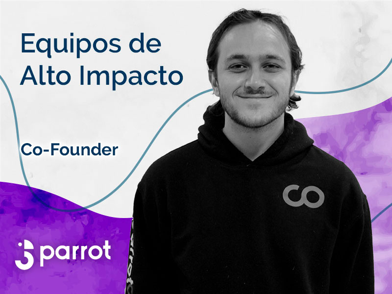 David Villarreal - CEO Parrot Software